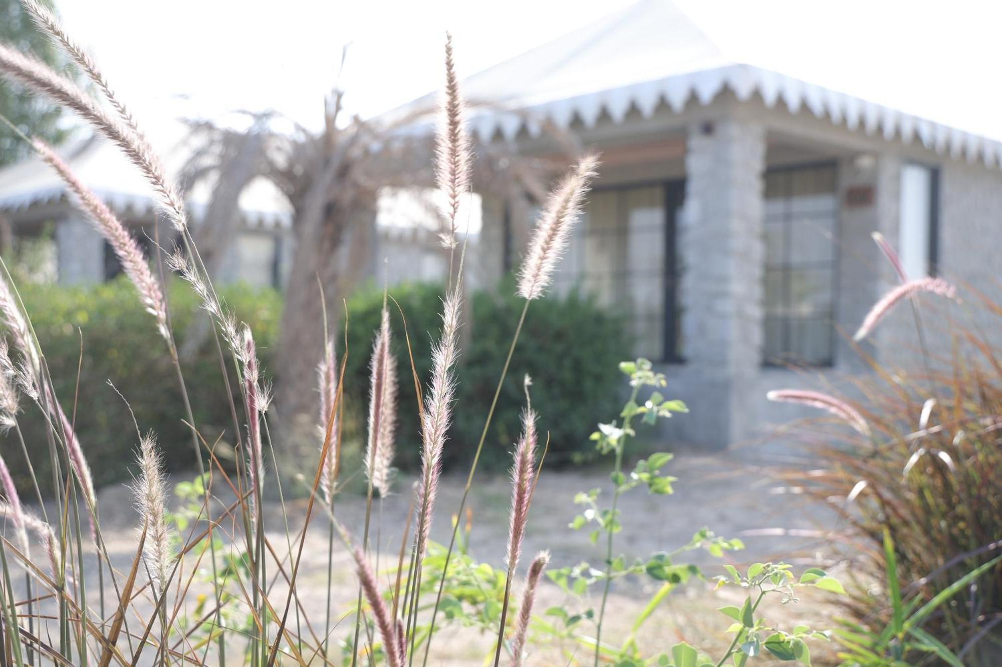 Jawai Bera Leopard Camp Hotel Exterior foto