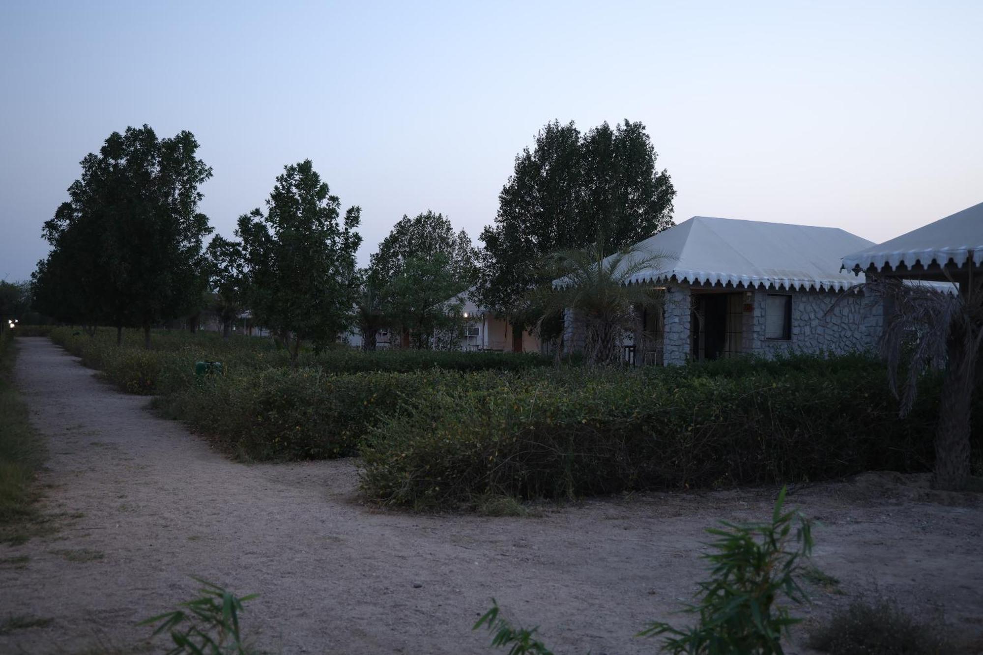 Jawai Bera Leopard Camp Hotel Exterior foto