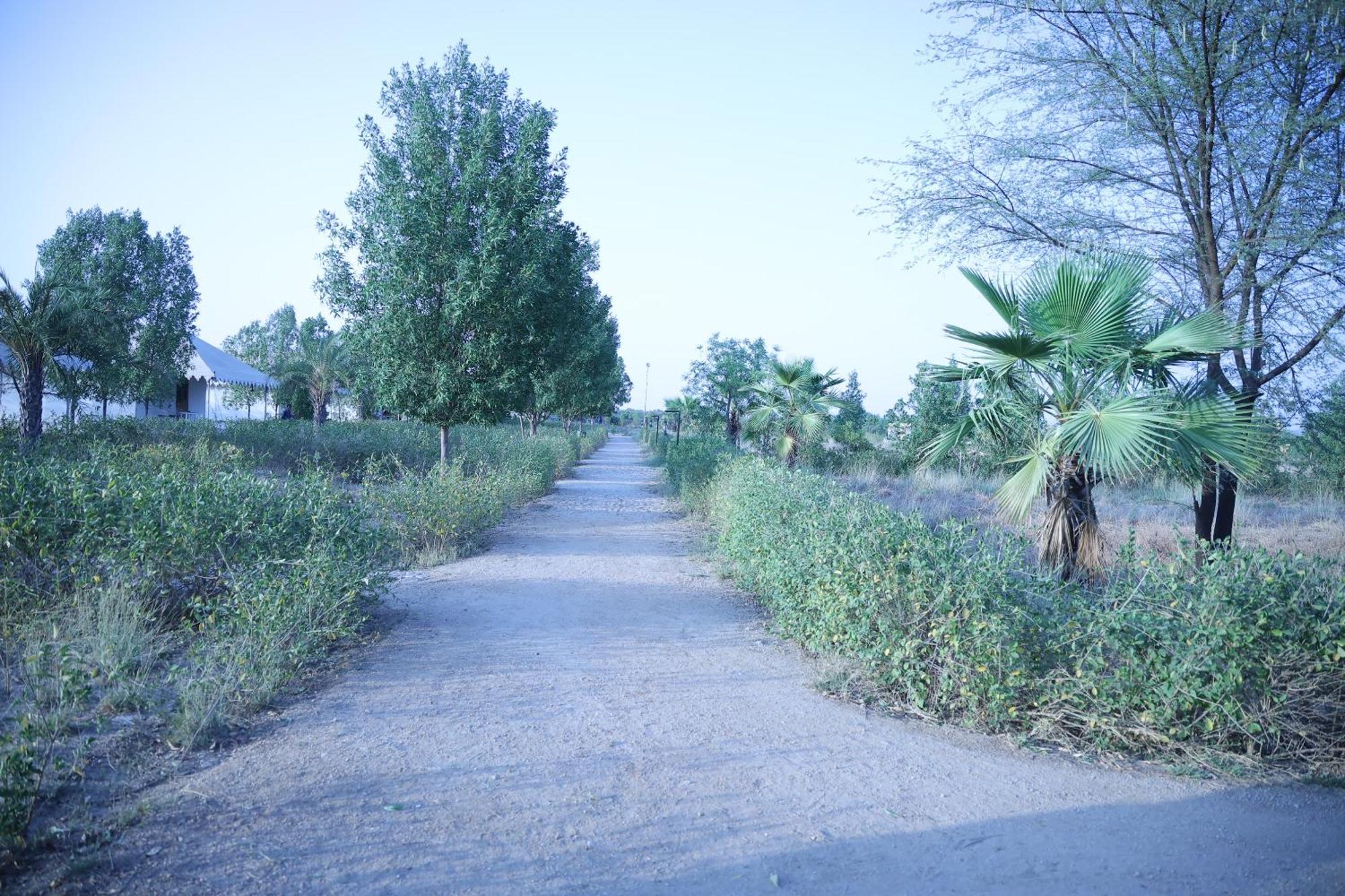 Jawai Bera Leopard Camp Hotel Exterior foto