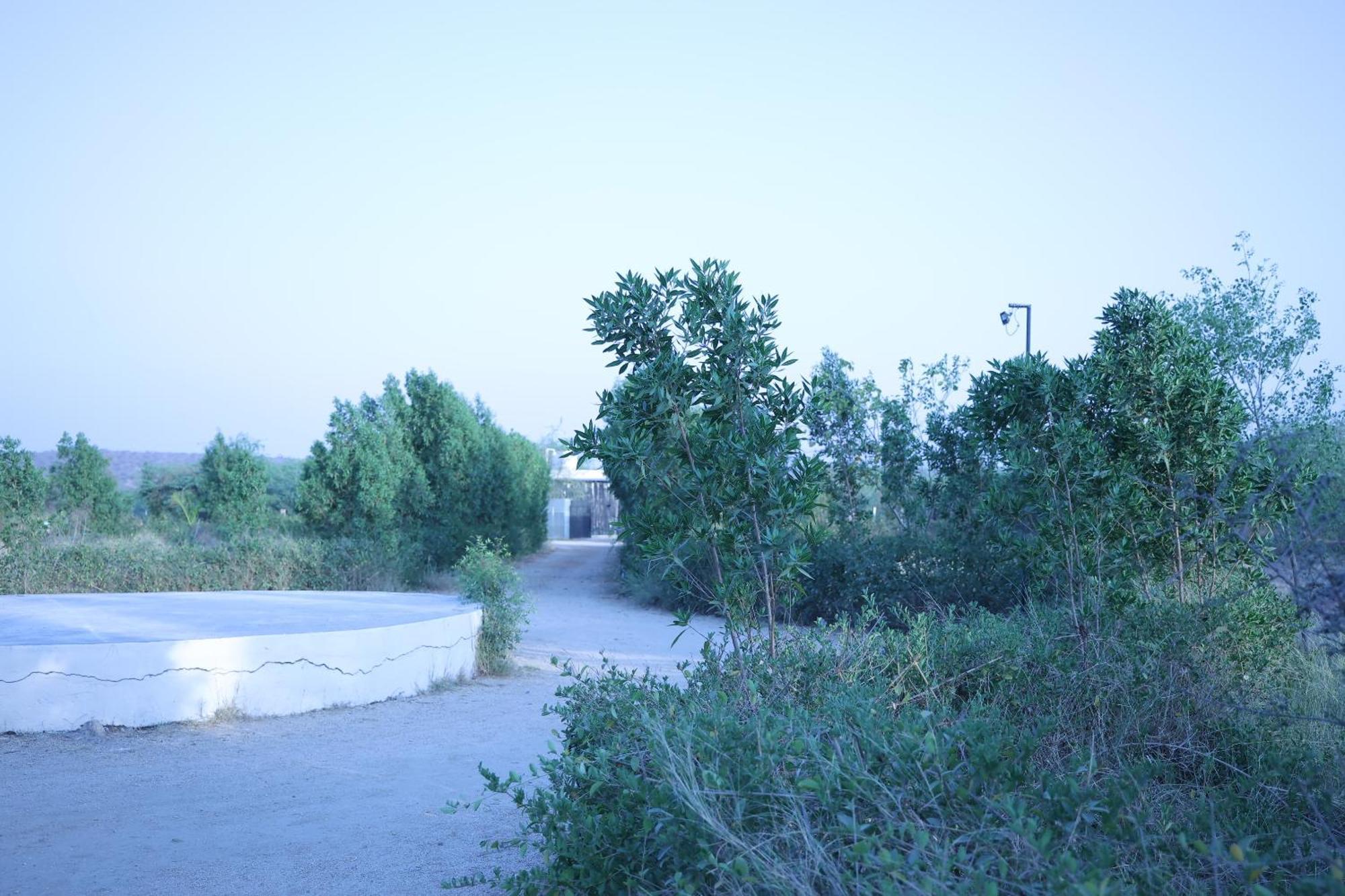 Jawai Bera Leopard Camp Hotel Exterior foto