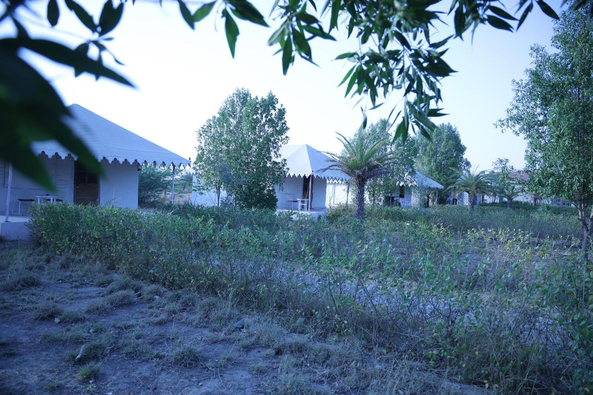 Jawai Bera Leopard Camp Hotel Exterior foto